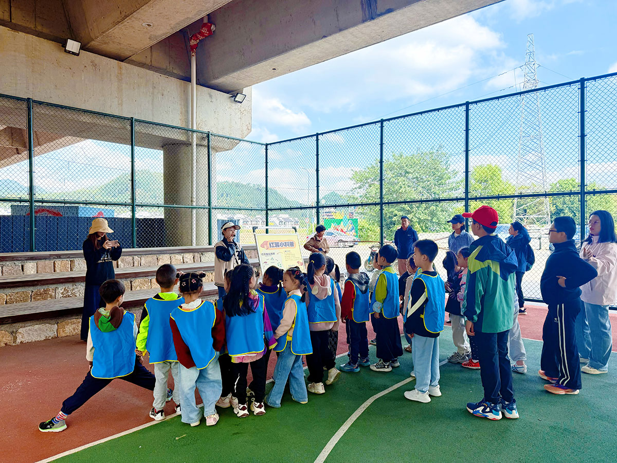 南溪南村：以薯為媒繪新景，活動賦能興鄉(xiāng)村