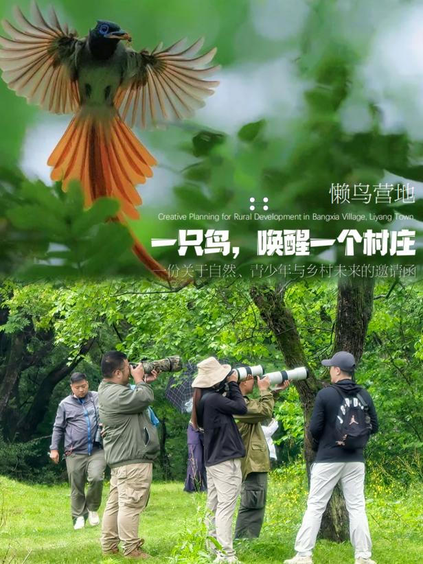 8000萬熱度炸屏！屯溪“護村小祖宗”聯(lián)動短劇頂級頭部平臺帶火綬帶鳥，短劇+文旅解鎖鄉(xiāng)村振興新密碼